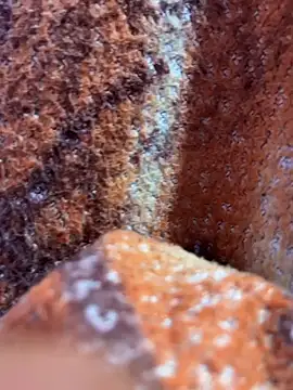 Snapshot of king_cum_ chatting on 11/08/25, 01:17 king cum online show from 11/08/25, 01:17