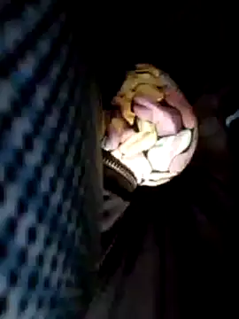 Snapshot of Policeman20742 chatting on 02/25/25, 06:09 Policeman20742 online show from 02/25/25, 06:09