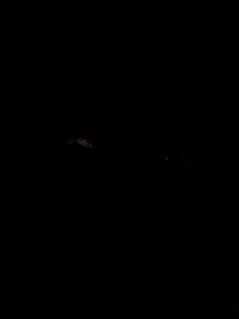 dadyyD95 online show from 01/31/25, 09:59