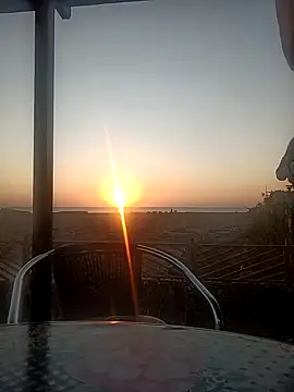 Snapshot of Freddy1962 chatting on 12/09/24, 04:23 Freddy1962 online show from 12/09/24, 04:23