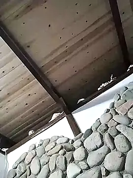 Snapshot of Freddy1962 chatting on 12/12/24, 06:53 Freddy1962 online show from 12/12/24, 06:53