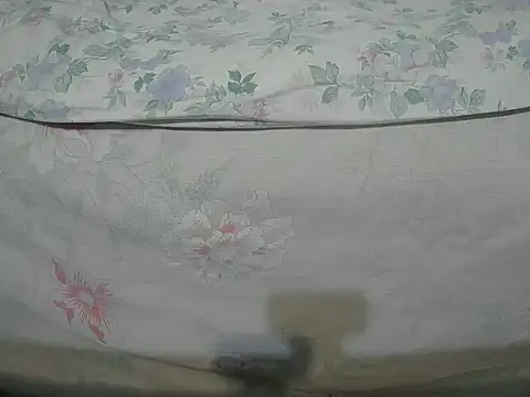 Snapshot of Tiger202441 chatting on 12/16/24, 10:24 Tiger202441 online show from 12/16/24, 10:24