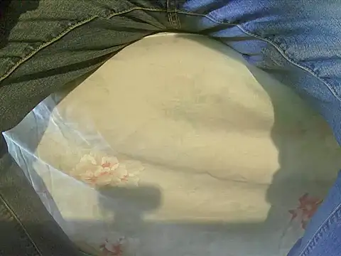 Snapshot of Tiger202441 chatting on 12/17/24, 11:17 Tiger202441 online show from 12/17/24, 11:17