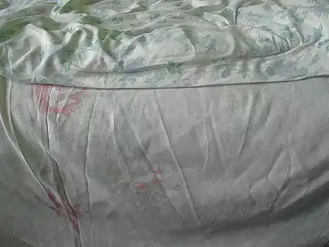 Snapshot of Tiger202441 chatting on 12/18/24, 10:08 Tiger202441 online show from 12/18/24, 10:08