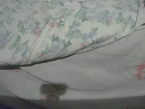 Snapshot of Tiger202441 chatting on 12/20/24, 10:32 Tiger202441 online show from 12/20/24, 10:32