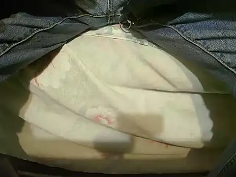 Snapshot of Tiger202441 chatting on 12/23/24, 08:47 Tiger202441 online show from 12/23/24, 08:47