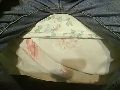 Snapshot of Tiger202441 chatting on 12/25/24, 05:47 Tiger202441 online show from 12/25/24, 05:47