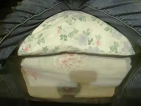 Snapshot of Tiger202441 chatting on 12/27/24, 10:37 Tiger202441 online show from 12/27/24, 10:37