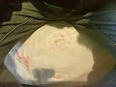 Snapshot of Tiger202441 chatting on 12/30/24, 09:48 Tiger202441 online show from 12/30/24, 09:48