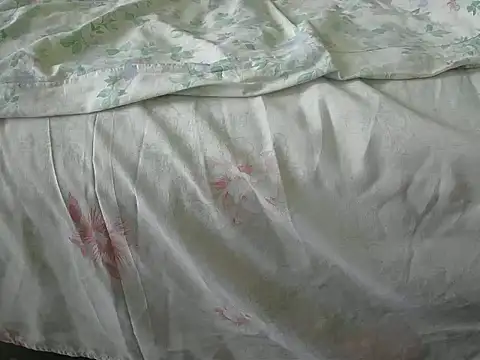 Snapshot of Tiger202441 chatting on 12/31/24, 12:04 Tiger202441 online show from 12/31/24, 12:04