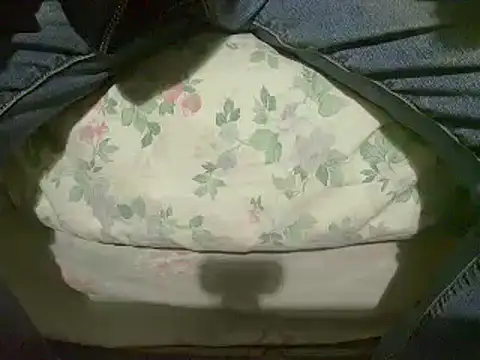 Snapshot of Tiger202441 chatting on 01/12/25, 04:08 Tiger202441 online show from 01/12/25, 04:08