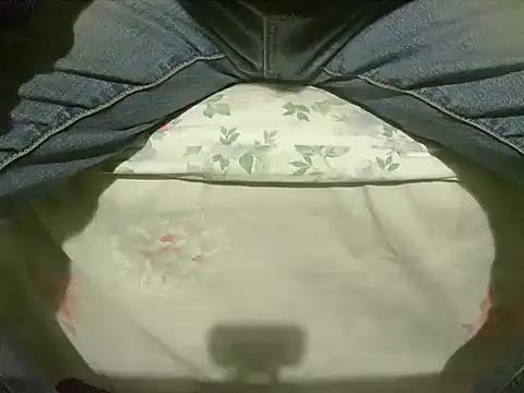 Snapshot of Tiger202441 chatting on 01/24/25, 06:14 Tiger202441 online show from 01/24/25, 06:14