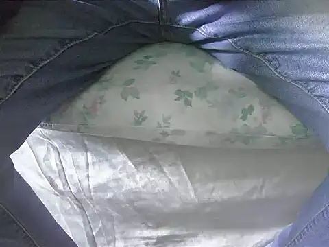 Snapshot of Tiger202441 chatting on 02/02/25, 12:46 Tiger202441 online show from 02/02/25, 12:46