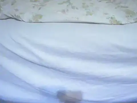 Snapshot of Tiger202441 chatting on 02/12/25, 11:41 Tiger202441 online show from 02/12/25, 11:41