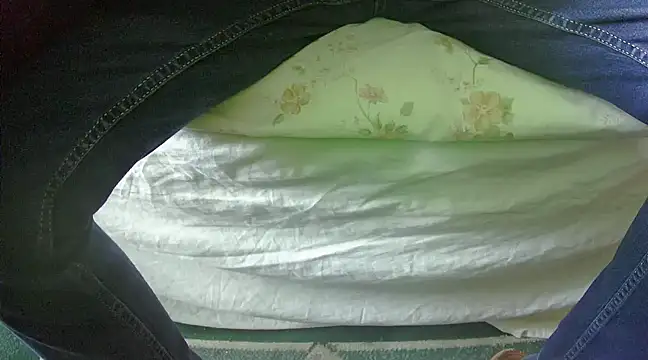 Snapshot of Tiger202441 chatting on 02/27/25, 10:48 Tiger202441 online show from 02/27/25, 10:48