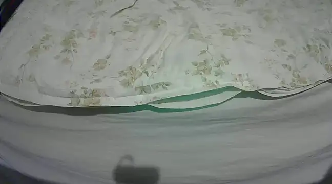 Snapshot of Tiger202441 chatting on 03/04/25, 09:32 Tiger202441 online show from 03/04/25, 09:32