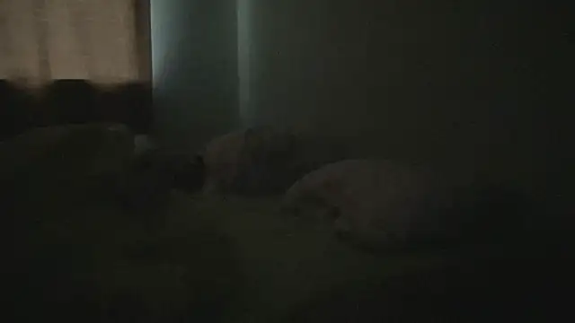 Diamond Tyler online show from 02/03/25, 04:57