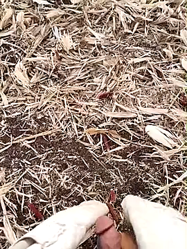 Snapshot of murokkk31 chatting on 09/15/25, 02:55 murokkk31 online show from 09/15/25, 02:55