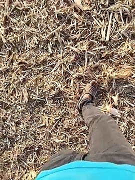 Snapshot of murokkk31 chatting on 09/30/25, 01:49 murokkk31 online show from 09/30/25, 01:49