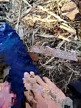 Snapshot of murokkk31 chatting on 11/30/25, 06:06 murokkk31 online show from 11/30/25, 06:06