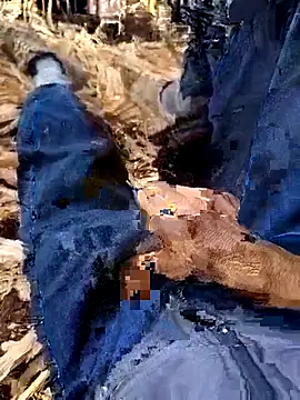 Snapshot of murokkk31 chatting on 12/04/25, 08:34 murokkk31 online show from 12/04/25, 08:34