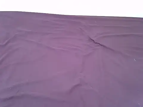 tasty piee online show from 11/07/25, 03:17