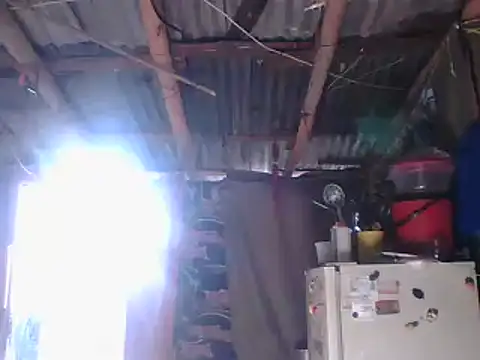 Alanagracia online show from 01/14/25, 12:56