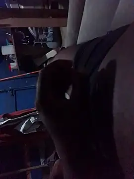 Snapshot of Algenis1232 chatting on 10/29/25, 01:02 Algenis1232 online show from 10/29/25, 01:02