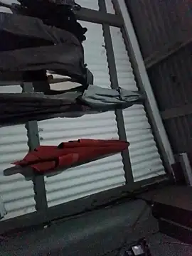 Snapshot of Algenis1232 chatting on 11/04/25, 07:29 Algenis1232 online show from 11/04/25, 07:29