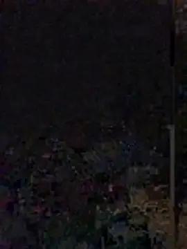 Yoko0381 online show from 06/12/26, 05:39