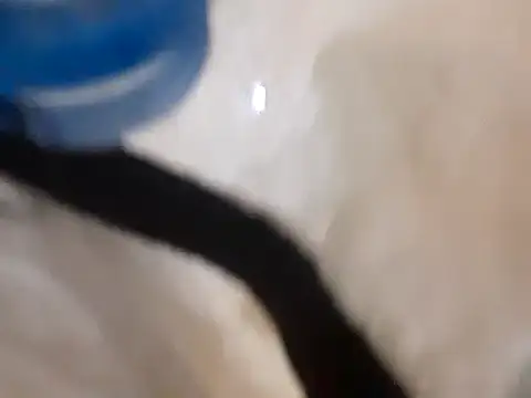 pedrodavid  online show from 03/14/25, 12:10