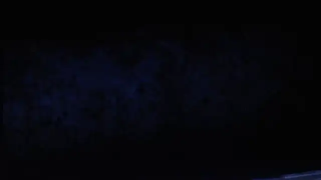 Snapshot of joeydee1 chatting on 02/19/25, 12:03 joeydee1 online show from 02/19/25, 12:03