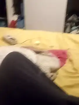 Snapshot of taradobbsafadok chatting on 10/25/25, 11:32 taradobbsafadok online show from 10/25/25, 11:32