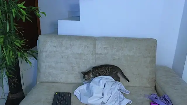 Lorenne Miller online show from 10/22/25, 05:08