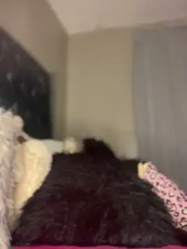 Tiny 1803 online show from 02/22/25, 07:03