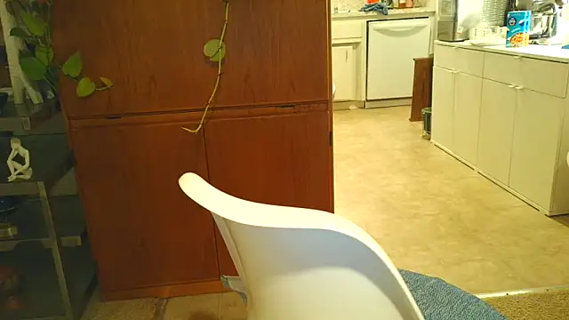 Snapshot of costanza7070 chatting on 10/20/25, 06:36 costanza7070 online show from 10/20/25, 06:36