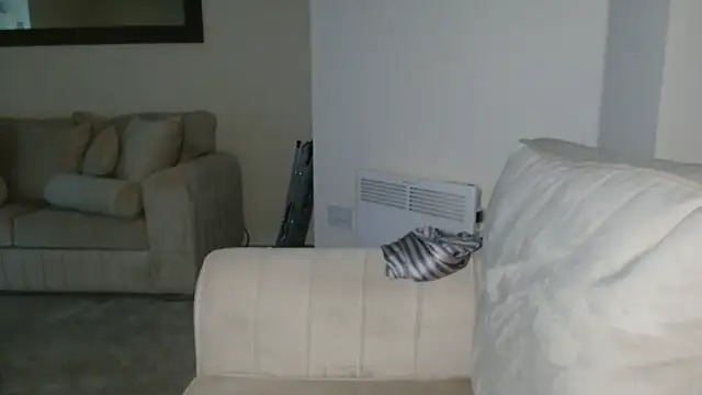 UKSYDNEYFOX online show from 12/01/24, 04:40