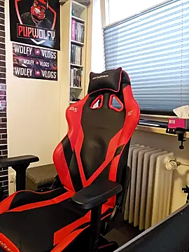 Snapshot of PupW0lfy chatting on 01/28/25, 03:14 PupW0lfy online show from 01/28/25, 03:14