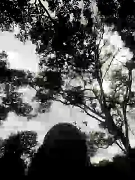 andreu mature online show from 02/09/25, 03:12