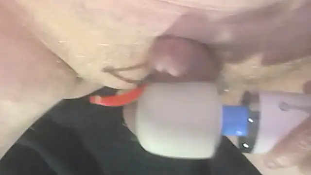 trittico online show from 10/09/25, 01:47