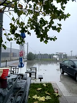 baramadalin online show from 11/21/25, 05:28