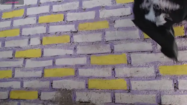 Snapshot of Lukas_strong chatting on 11/08/25, 02:06 Lukas strong online show from 11/08/25, 02:06