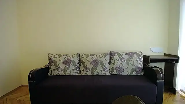 Pretty shy online show from 12/08/24, 09:02