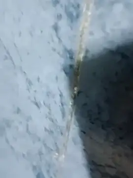 Chancho141414 online show from 10/18/25, 02:03