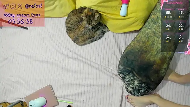 Snapshot of ixsi chatting on 10/23/25, 07:40 ixsi online show from 10/23/25, 07:40