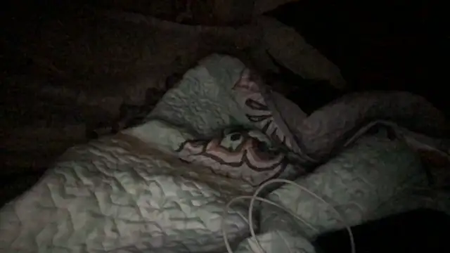 loveofbea online show from 10/23/25, 05:07