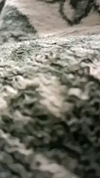 sokrates13 online show from 01/11/25, 07:38