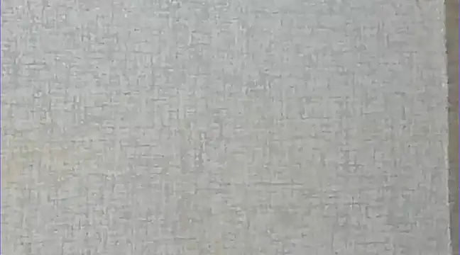 Ricardogo19 online show from 12/27/24, 03:09