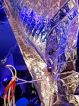 Snapshot of gurlnips chatting on 03/21/25, 11:33 gurlnips online show from 03/21/25, 11:33