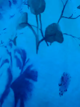 Snapshot of gurlnips chatting on 09/19/25, 06:37 gurlnips online show from 09/19/25, 06:37